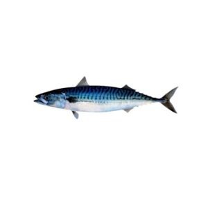 PICUDILLA X 100-150 GR