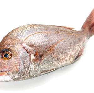 PARGUILLO