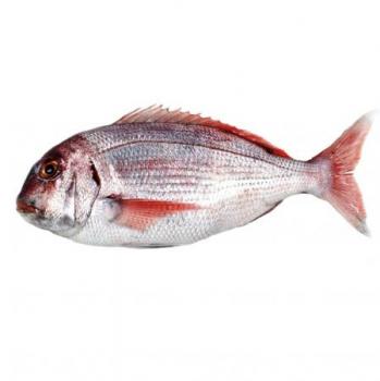 PARGO MEDIANO