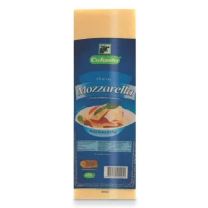 QUESO MOZARELLA BLOQUE X 2400 GR
